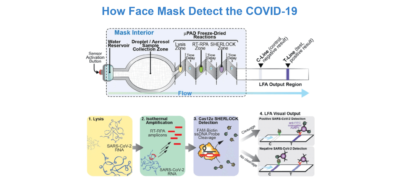 How will face mask detect the COVID-19 diagram
